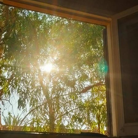 Siwa OasisA&S House住宿加早餐旅馆 外观 照片